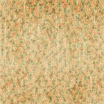 1389029_thumb_sp_vintageflorals_papers_floral (150x150, 11Kb)