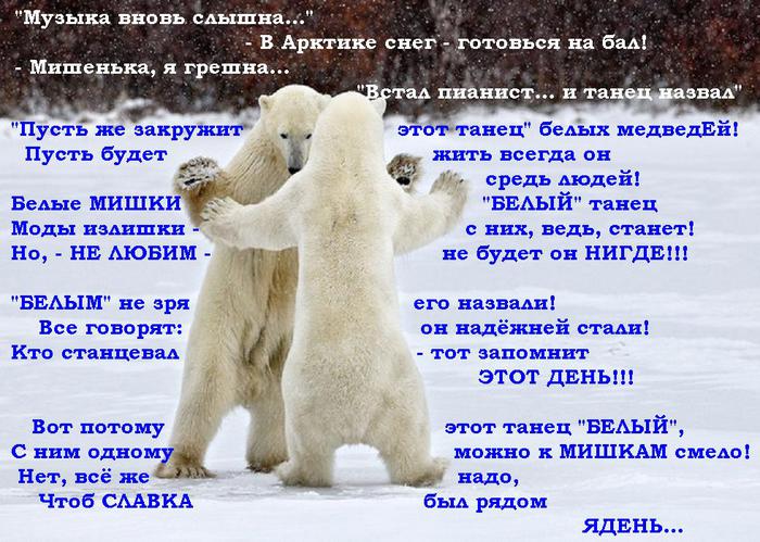 Поздравление белого медведя. Пусть танцуют белые медведи. Поздравление от белого мишки. Визитки поздравление белый медведь.