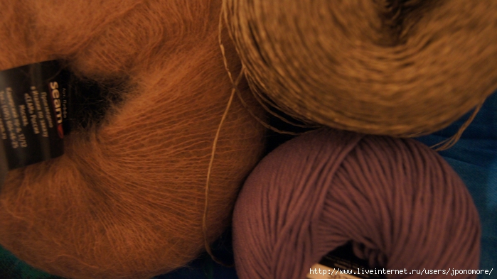 DSC07335 (700x393, 196Kb)