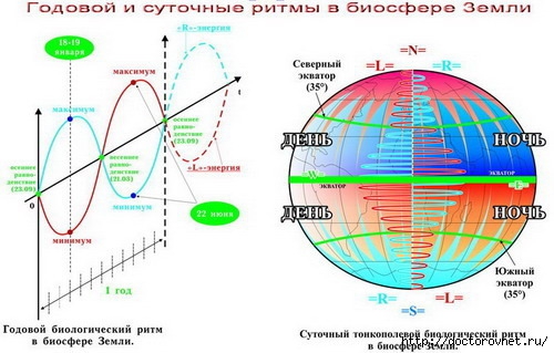 5 (500x319, 113Kb)