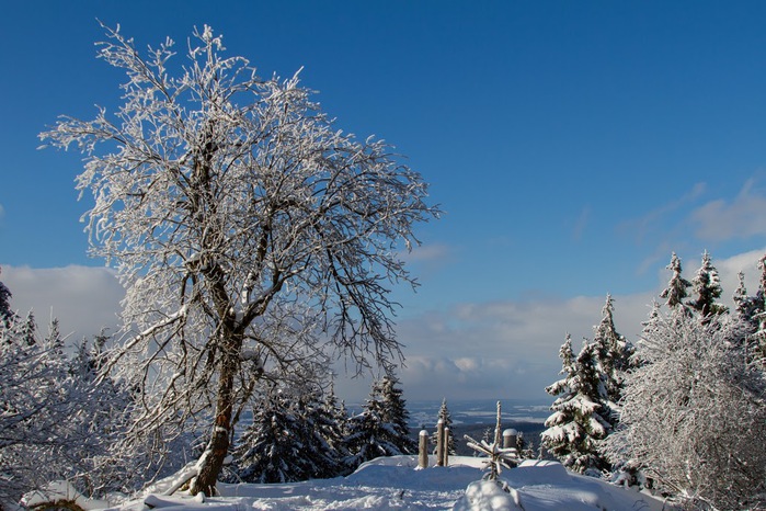 Ochsenkopf 2013 - 018 (700x466, 134Kb)