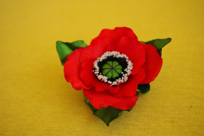 IMGP0247 (700x465, 81Kb)