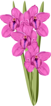 1368217082_flowers2 (171x353, 65Kb)