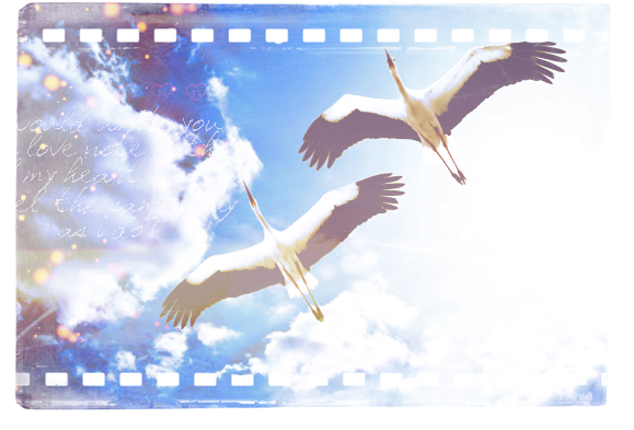 2245788_3287481360x768 (579x393, 315Kb)
