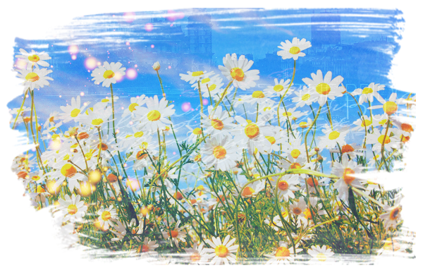 2245788_Nature___Seasons___Spring__038166_2 (600x390, 499Kb)