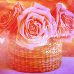 2245788_870e2b672e46 (150x150, 56Kb)