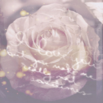 2245788_shshgshsh_copy (150x150, 44Kb)