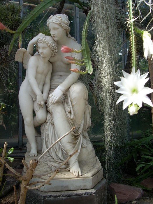 DSCN3551 (525x700, 277Kb)