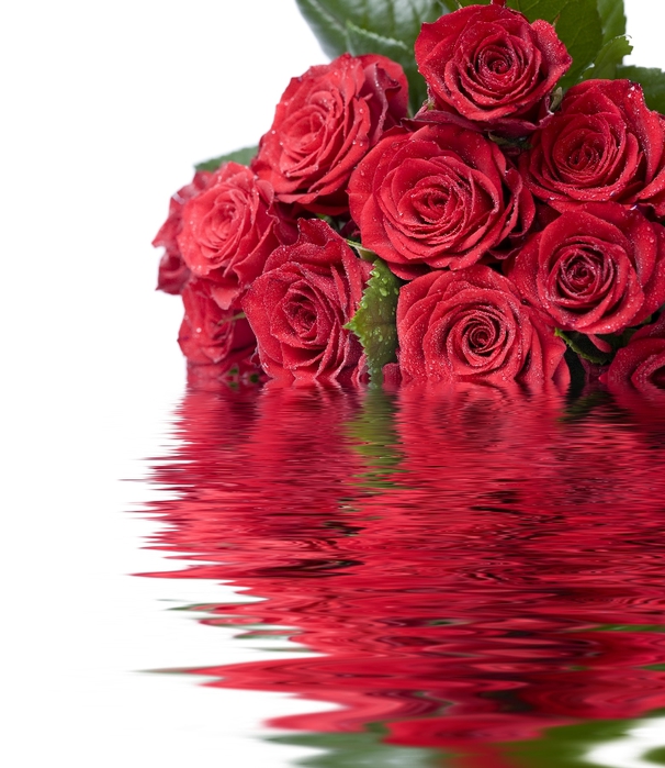 beautiful_red_roses_01 (606x700, 255Kb)