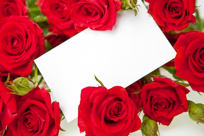 red_roses_04 (700x466, 192Kb)