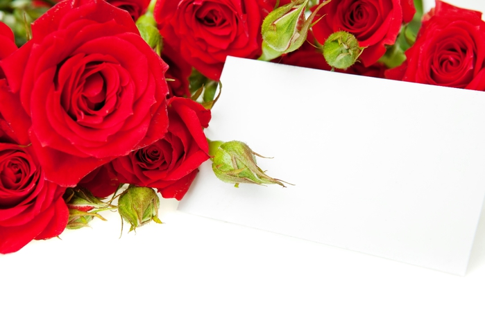 red_roses_05 (700x466, 140Kb)