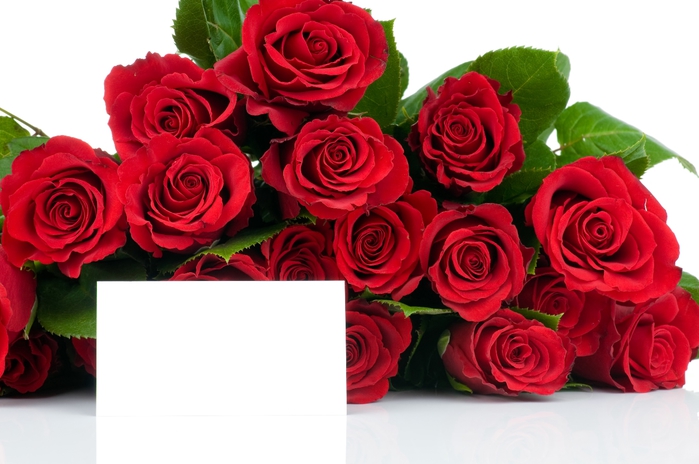 red_roses_07 (700x464, 204Kb)