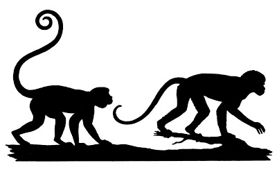Silhouttes-Animals-Monkeys-GraphicsFairy (400x245, 24Kb)