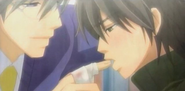 Junjou Romantica. 