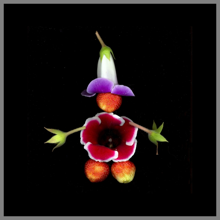 4826692_0Yzk1LWE4 (700x700, 104Kb)