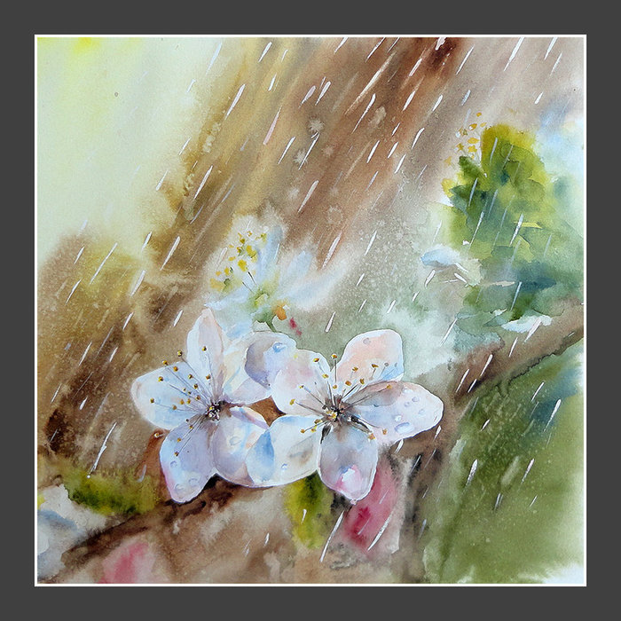 flowers_in_the_rain_by_stokrotas-d4el2ob (700x700, 134Kb)