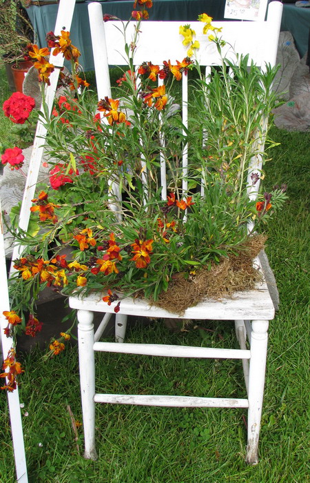 planting-flowers-in-chairs2-2 (450x700, 174Kb)