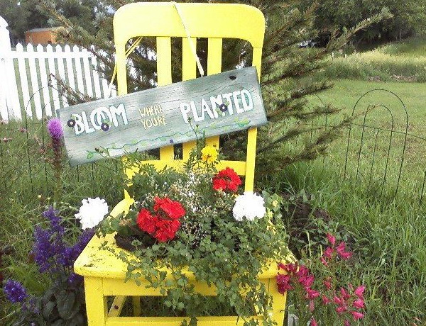 planting-flowers-in-chairs-colorful14 (600x460, 160Kb)