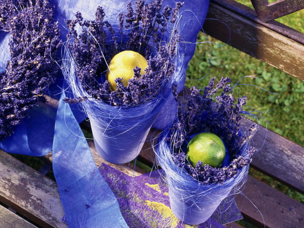 lavender-home-decorating-ideas2-14 (600x450, 129Kb)
