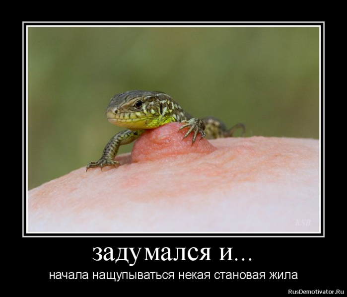  (700x598, 253Kb)
