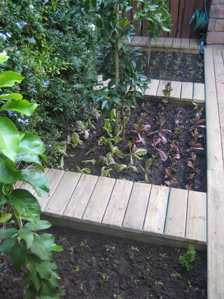 vegetable-garden-paths-ideas2 (450x600, 120Kb)