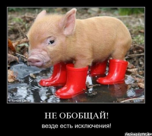 1295185823_x_81416670 (500x450, 33Kb)