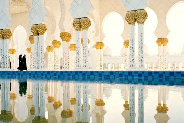 7_Sheikh_Zayed_Grand_Mosque^1 (620x413, 127Kb)