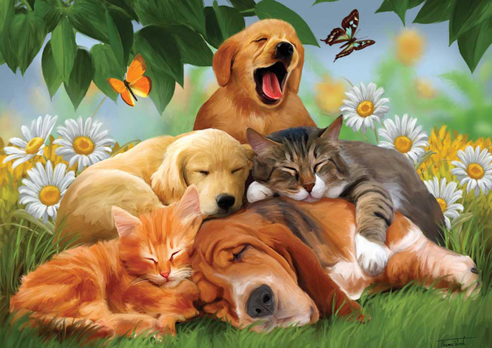 cats_and_dogs_02 (700x495, 339Kb)