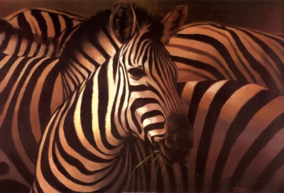 zebra-grande-by-t-c-chiu-70059 (400x272, 34Kb)