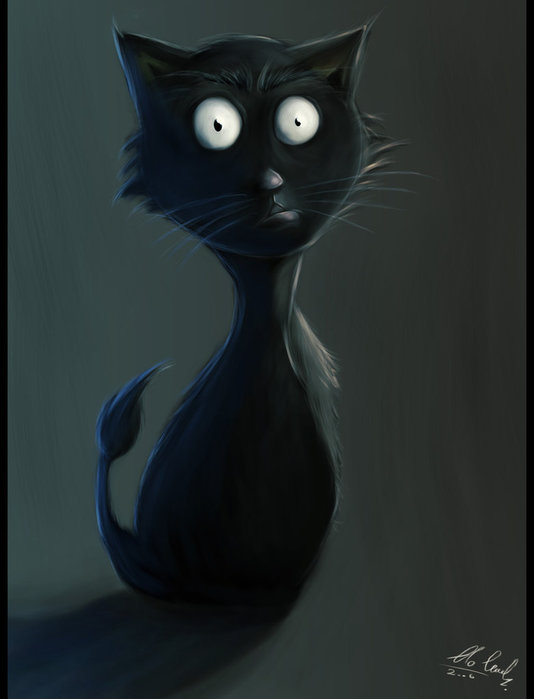 cat_surprised_by_moti_cohen (534x700, 29Kb)