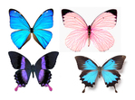  1278200112_55_FT0_butterflies (562x418, 196Kb)