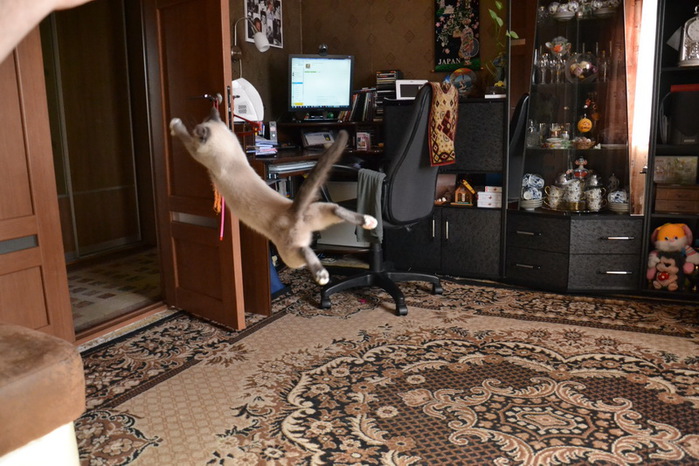 DSC_0022_  (700x466, 136Kb)