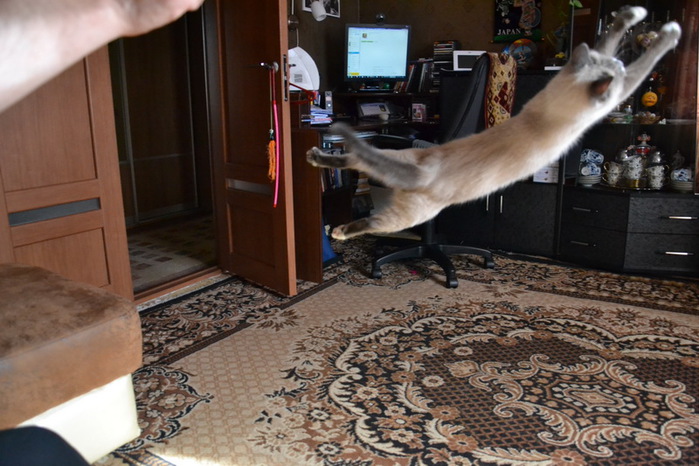 DSC_0023_  (700x466, 123Kb)
