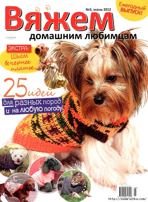 Китайская хохлатая собака порода собак питомник Ксоло клаб на Ksolo.ru