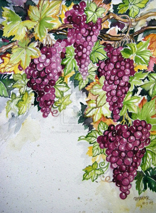 Autumns_Bounty_Grapes_by_HouseofChabrier (511x700, 489Kb)