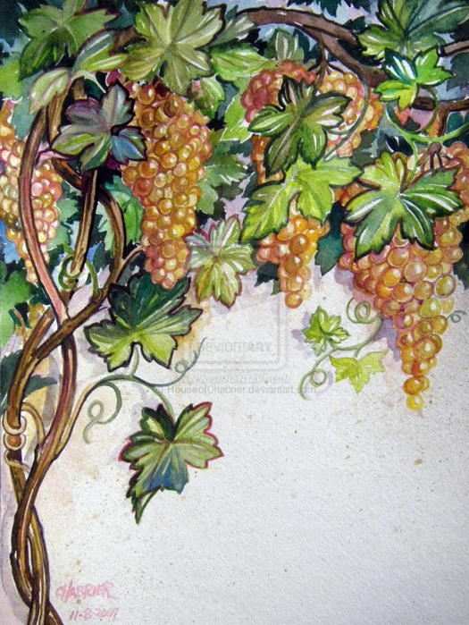 Grapes_Bites_of_Sunshine_by_HouseofChabrier (525x700, 477Kb)
