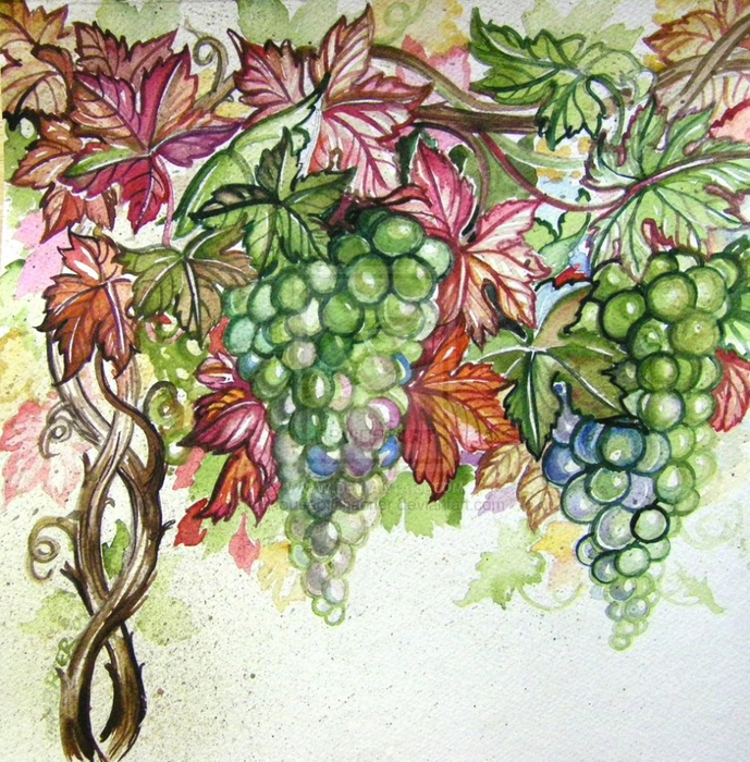 Watercolor_Grapes_1_by_HouseofChabrier (689x700, 632Kb)