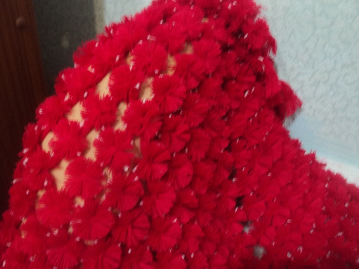 DSC03650 (700x525, 235Kb)