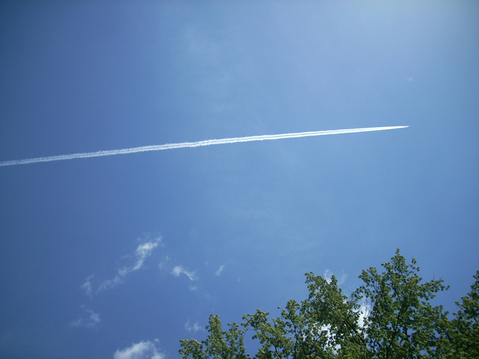 03 Juni 2013 054 (700x525, 361Kb)