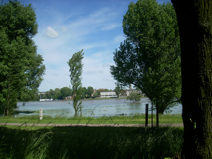 03 Juni 2013 088 (700x525, 502Kb)