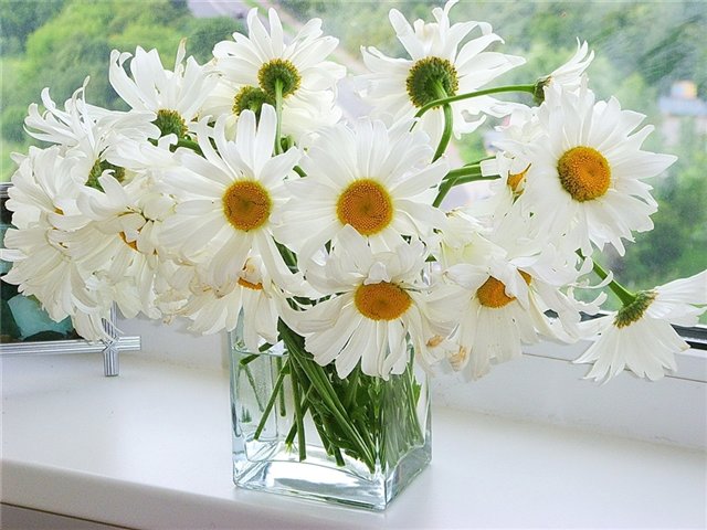 1305 (640x480, 69Kb)