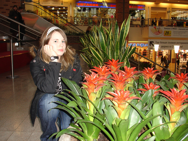 080e85890d23fdd44f1a812c108564b2 (600x450, 194Kb)