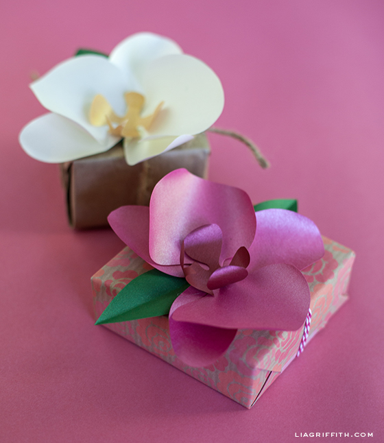 Орхидея из бумаги для украшения подарка. Шаблоны (3) (560x646, 183Kb)