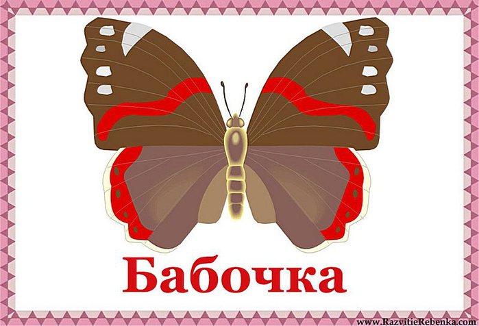 5111852_Babochka (700x476, 60Kb)
