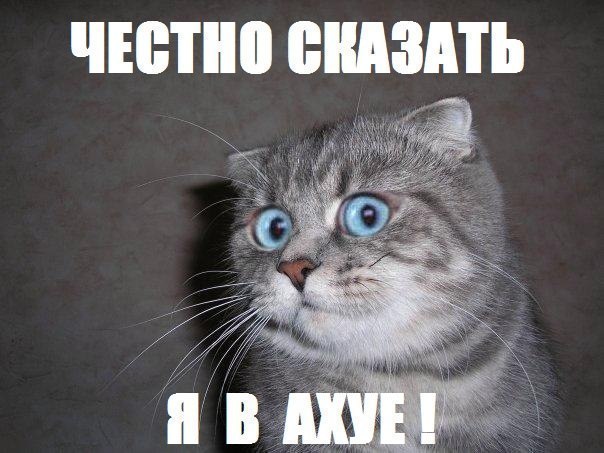 -335573 (604x453, 58Kb)