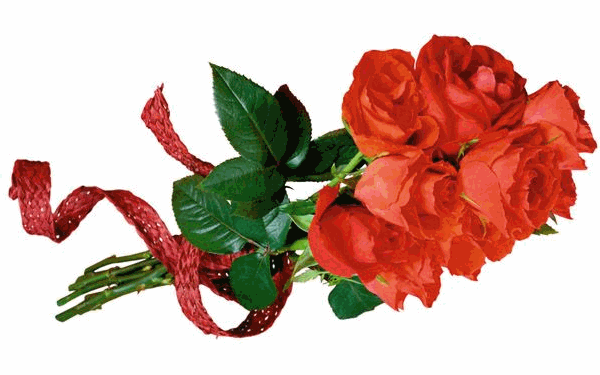 default (600x375, 95Kb)