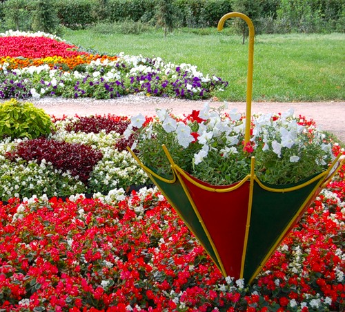 5 креативных и простых идей для сада и огорода: удобно и экономично!