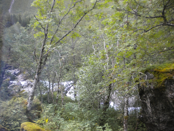 4752699_NOR_705 (700x525, 366Kb)