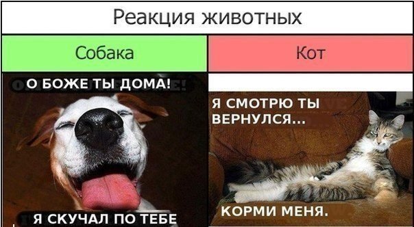 CeREfqqMpWo (604x332, 51Kb)