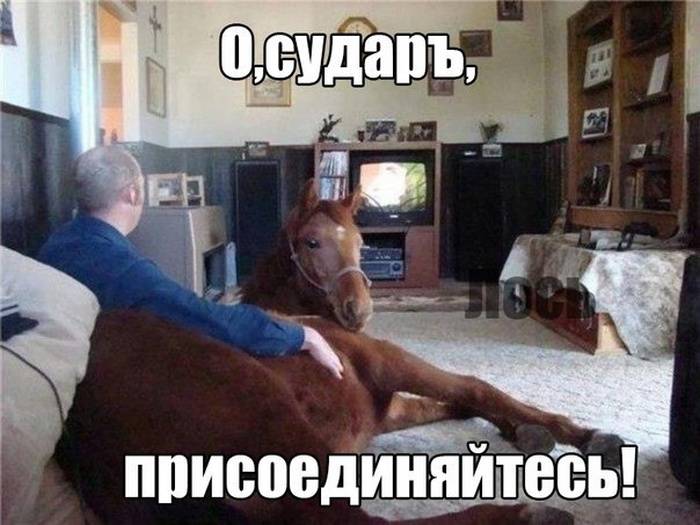 1369900502_03 (700x525, 52Kb)